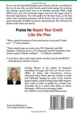 Repair Your Credit Like the Pros: How credit attorneys and certified consultants legally delete bad credit and restore your good name