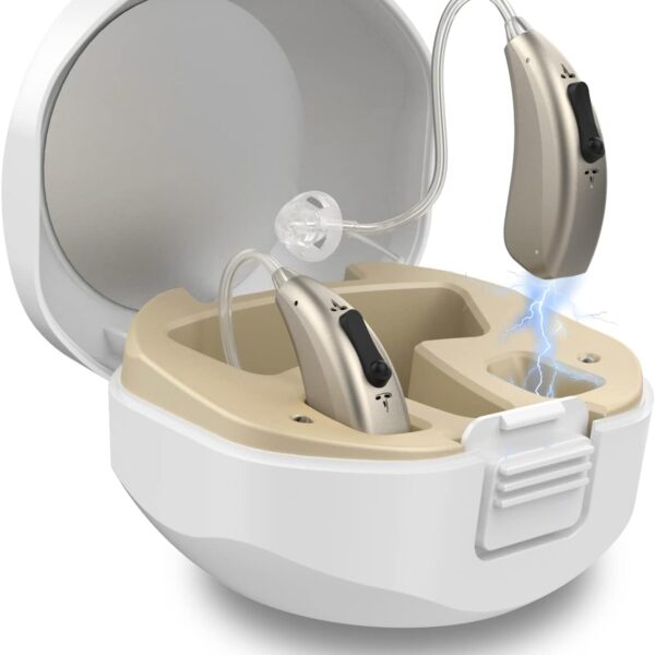 Rechargeable Hearing Aids for Seniors Severe Hearing Loss Earrck Hearing Amplifier with Noise Cancelling Hearing Aid with Volume Control Dual Micphone (Silver)