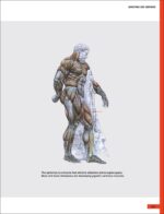 The Strength Training Anatomy Workout III: Maximizing Results with Advanced Training Techniques - Image 8
