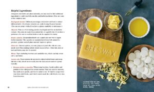 Herbal Medicine for Modern Life: Traditional Folk Remedies for Everyday Health and Well-Being - Image 4