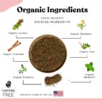 AutoimmuniTea – AIP Thyroid Support and Hormone Balance Tea for Women, Autoimmune Protocol Caffeine Free Eleuthero Tulsi, Spearmint, Licorice Tea Bags - Image 3