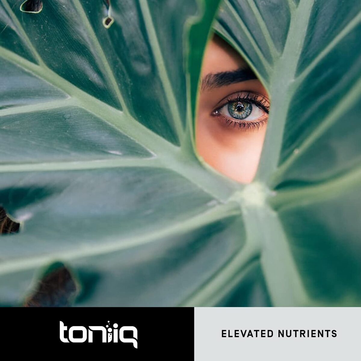 Toniiq Ultra High Purity Resveratrol Capsules - 98% Trans-Resveratrol - Highly Purified and Bioavailable - 60 Caps Reservatrol Supplement - Image 8