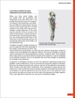 The Strength Training Anatomy Workout III: Maximizing Results with Advanced Training Techniques - Image 6