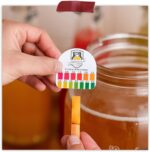 Kombucha Essentials Kit - Includes USDA Organic Kombucha SCOBY + 1-Gallon Glass Fermenting Jar with Breathable Cover + pH Strips + Rubber Band + Adhesive Thermometer - Brew kombucha at Home - Image 6