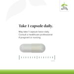 Terry Naturally Clinical Essentials Immune - Immune System Support Supplement with Vitamins A, C, D3 & E - Supplement for Immune Health - Vitamin Supplement with Antioxidants - 60 Capsules - Image 4