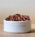 Terrasoul Superfoods Raw Organic Criollo Cacao Beans, 16 Oz, Raw Chocolate Goodness for Baking, Snacking, and Homemade Chocolate Creations - Image 3