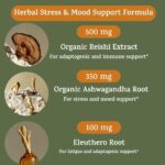 Peak + Valley Stress Relief Supplement for Mood Support Balance My Stress Capsules - Contains Adaptogens, Ashwagandha, Eleuthero Root, Reishi Mushroom Supplement - Natural Mood Stabilizer - 90 Ct - Image 4