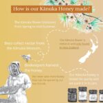 BeeNZ Raw Kanuka Honey, Pure New Zealand Honey, Natural Sweetener and Superfood Honey for Wellness and Skin Care Support, No Sugar Added, Traceable from Hive to Honey Jar, 8.8 oz/250g (8.8 oz) - Image 5