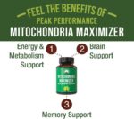 Mitochondria Maximizer with CoQ10 and Active PQQ. Best Mitochondrial Support Supplement with MCT Oil. Natural Cellular Generator for Clean, Focused Energy 60 Vegetarian Capsules - Image 2