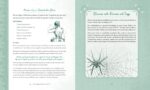 The Holistic Witch: Connecting with Your Personal Power for Magickal Self-Care (The Modern-Day Witch, 10) - Image 6
