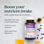 New Chapter® Vitamin C Immune Defense Supplement + Elderberry – Excellent Source of Vitamin C, One Daily Tablet for Healthy Immune Support, Made with Organic Herbs, Non-GMO, Gluten Free, 30 ct - Image 4