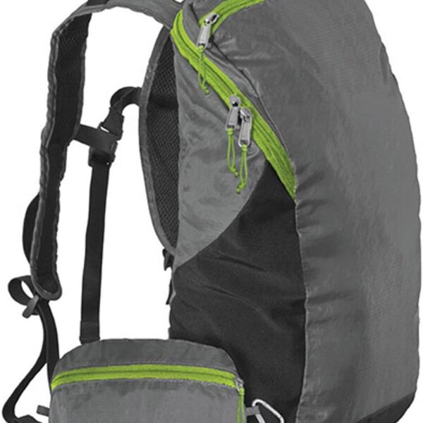 ChicoBag Travel Pack rePETe Recycled Backpack w/Built-In Pouch & Carabiner Clip | Perfect for Outdoor Activities | Eco-Conscious Packable Reusable Bookbag | Stormfront (Pack of 1)