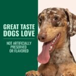 Anti-Inflammatory Green Lipped Mussel for Dogs Powder - Image 8