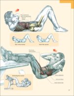 Delavier's Core Training Anatomy - Image 3