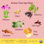 Urban Moonshine Immune Zoom - Stimulates Immune System* - Fast-Acting Immune Booster* with Echinacea, Elderberry & Raw Honey - Immune Support Supplement - Gluten Free Herbal Supplement* - 8.4 Fl Oz - Image 3