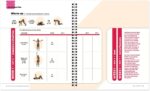 Women's Health The Woman's Guide To Strength Training: Dumbbells: Get strong arms, legs, and abs—with around 30-minute workouts you can do in your own home! - Image 5