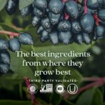 New Chapter® Vitamin C Immune Defense Supplement + Elderberry – Excellent Source of Vitamin C, One Daily Tablet for Healthy Immune Support, Made with Organic Herbs, Non-GMO, Gluten Free, 30 ct - Image 5
