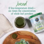 Garden of Life Raw Organic Perfect Food Green Superfood Juiced Greens Powder - Original Stevia-Free, 30 Servings, Non-GMO, Gluten Free Whole Food Dietary Supplement, Alkalize, Detoxify, Energize - Image 3