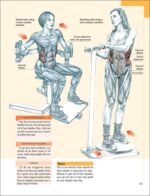 Delavier's Core Training Anatomy - Image 5