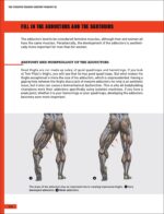 The Strength Training Anatomy Workout III: Maximizing Results with Advanced Training Techniques - Image 5