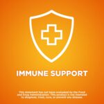 Amazon Basic Care Immune Support Citrus Chew Tablets, 116 Count - Image 2