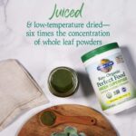 Garden of Life Super Greens Powder Smoothie & Mix, Probiotics & Digestive Enzymes for Digestive Health, Organic Superfoods Nutrition Fruit and Vegetables for Women & Men Energy, Original, 60 Servings - Image 3