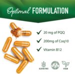 PQQ Supplement 20mg | Mitochondrial Biogenesis & Energy Optimizer With CoQ10 & Vitamin B12 | Supports Brain Health & Mitochondria Production | Ultra PQQ Formula | Vegan, Gluten-Free | 60 Capsules - Image 4