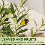 Olive Trees Artificial Indoor, 5FT Tall Faux Olive Tree with White Tall Planter, Artificial Plants with Natural Wood Trunk and Lifelike Fruits for Home Office Decor - Image 6