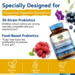 Terranics Probiotics 60 Billion CFU, 20 Strains, 60 Veg Capsules, Prebiotics & Probiotics, Shelf Stable Probiotic Supplement for Men & Women, Digestive & Immune Health, Non-GMO, NO Soy, Dairy & Gluten - Image 5