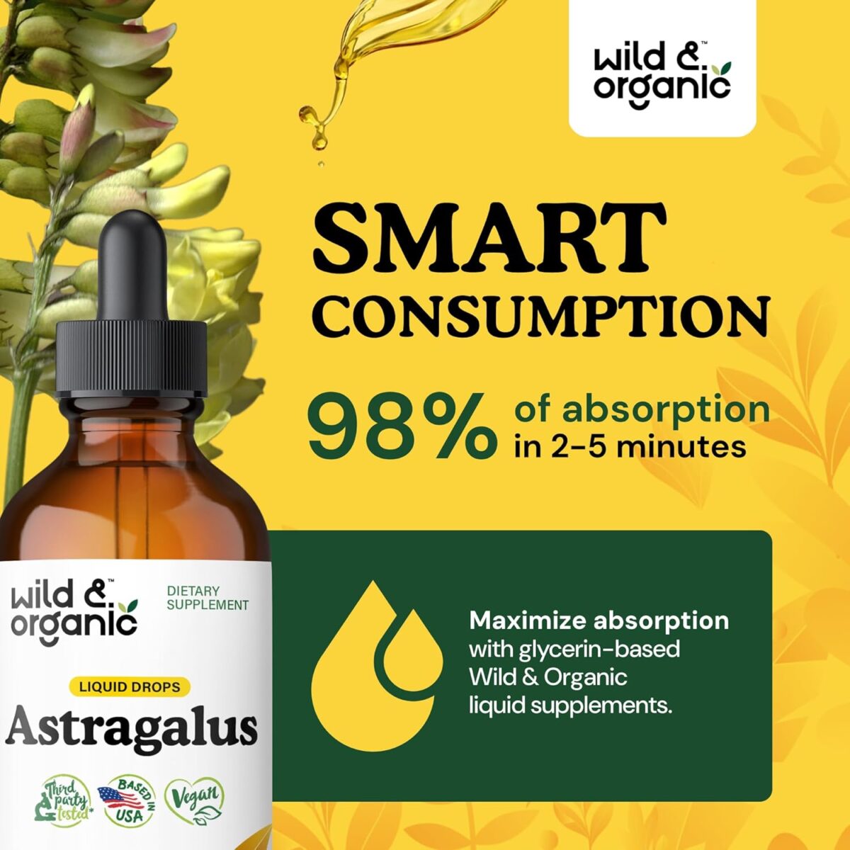 Wild & Organic Astragalus Tincture - Immune Support Supplement w/Astragalus Root Extract - Vegan Tincture for Immunity - Sugar & Alcohol-Free Drops - 4 fl oz - Image 4