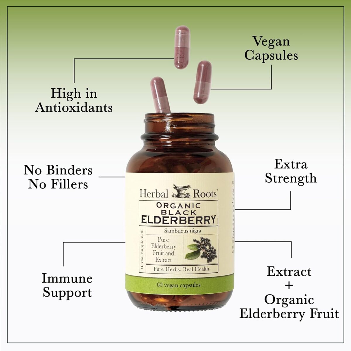 Herbal Roots Organic Black Elderberry Capsules | Max Strength | Made with Organic Sambucus | 60 Vegan Capsules - Image 4