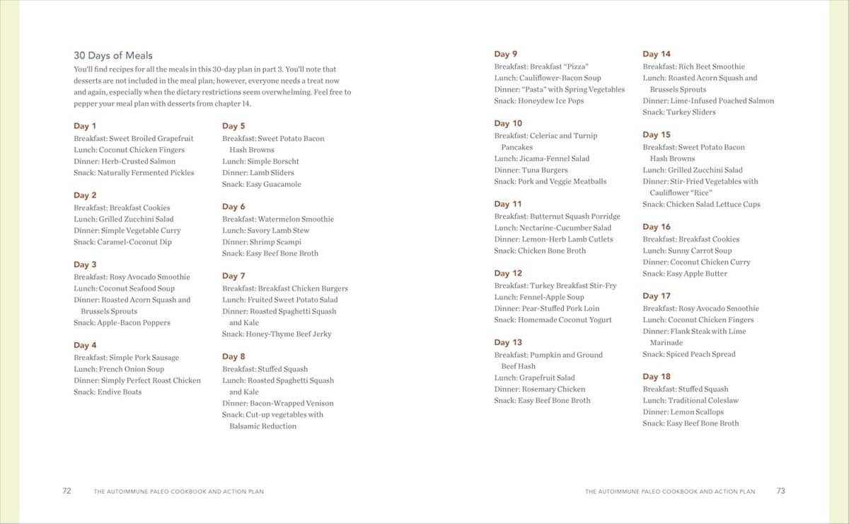 The Autoimmune Paleo Cookbook & Action Plan: A Practical Guide to Easing Your Autoimmune Disease Symptoms with Nourishing Food - Image 4