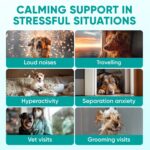 Hemp Calming Chews for Dogs - Dog Calming Chews for Anxiety Relief, Stress, Separation, Fireworks, Thunder, Travel, Vet Visits - USA Product - 120 Soft Treats with Melatonin, Chamomile, Passion Flower - Image 3