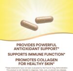 Nature's Way Vitamin C with Bioflavonoids, Immune Support*, High Potency Vitamin C per 2-capsule serving, Promotes Collagen*, 1,000 mg per 2-Capsule Serving, 250 Capsules (Packaging May Vary) - Image 3