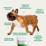 Anti-Inflammatory Green Lipped Mussel for Dogs Powder - Image 6