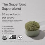 Sports Research® Organic Greens Superfood Powder w/Spirulina & Chlorella, Adaptogens, Enzymes, Probiotics & 8 VIT Bs for Gut & Mood Support* - Vegan, Sugar-Free & Low-Cal Pineapple Coconut 20 - Image 2