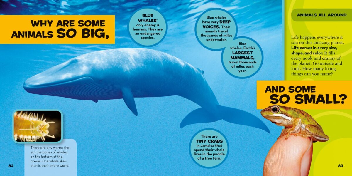 National Geographic Little Kids First Big Book of Why (National Geographic Little Kids First Big Books) - Image 4