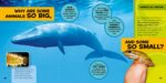 National Geographic Little Kids First Big Book of Why (National Geographic Little Kids First Big Books) - Image 4