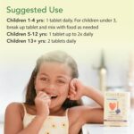 CHILDLIFE ESSENTIALS Elderberry Super-Immune SoftChew Gummies for Kids - Immune Support with Vitamin C & Vitamin D3, Elderberry Immune Supplement for Babies, Toddlers & Children - Berry, 27 Softchews - Image 7