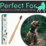 H&H Pets Bamboo Toothbrush Set for Dogs and Cats - Ultra Soft Bristles & Biodegradable Wooden Toothbrush, Puppy Supplies, Dog Dental Set, Eco-Friendly Pet Supplies (Large; 8-Count Pack) - Image 4