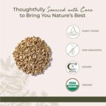Starwest Botanicals Organic Astragalus Root - Dried Herb for Tea, Natural Immune Support, Cut & Sifted, Promotes Wellness, Certified Kosher, Non-GMO- Bulk 1 lb Bag - Image 4