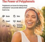67,500 MG Polyphenols Supplement - Powerful Antioxidants & Polyphenol for Age Defense, Polyphenol Superfood, Quercetin, Resveratrol, Green Tea, Plant-Based & Energy, Immune Support, 90 Capsules - Image 6
