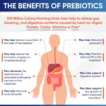 Wholesome Wellness Organic Raw Probiotics 100 Billion CFU, Dr Formulated for Women and Men, Complete Adult Supplement with Prebiotics and Digestive Enzymes; 30 Capsules, Shelf Stable - Image 6