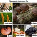 Methylene Blue (USP Grade) 1 Bottle 50 Capsules, with Mushroom Extracts: Lion's Mane, Reishi, Cordyceps, Chaga, Shiitake, Turkey Tail - Image 4