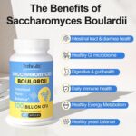 Saccharomyces Boulardii Probiotics 200 Billion CFUs, Clinically-Studied Probiotic for Women & Men Yeast for Intestinal, Gut, Immune & Digestive Health, Acid Resistant & Shelf-Stable, 60 Days Supply - Image 5
