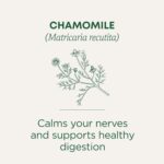 Traditional Medicinals Tea, Organic Chamomile, Calming, Calms Your Nerves, Supports Healthy Digestion, 96 Tea Bags (6 Pack) - Image 2