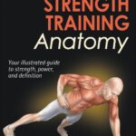 Bodyweight Strength Training Anatomy