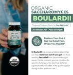 Organic Saccharomyces Boulardii - 10 Billion CFU - Clinically Validated CNCM I-1079 Probiotic Strain - Gut, Digestion & Healthy Bowel Support - First Organic Form of S. Boulardii Probiotic - 60 Count - Image 2