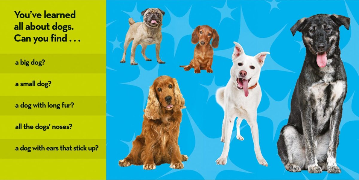 National Geographic Kids Look and Learn: Dogs (Look & Learn) - Image 3