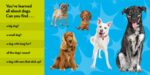 National Geographic Kids Look and Learn: Dogs (Look & Learn) - Image 3